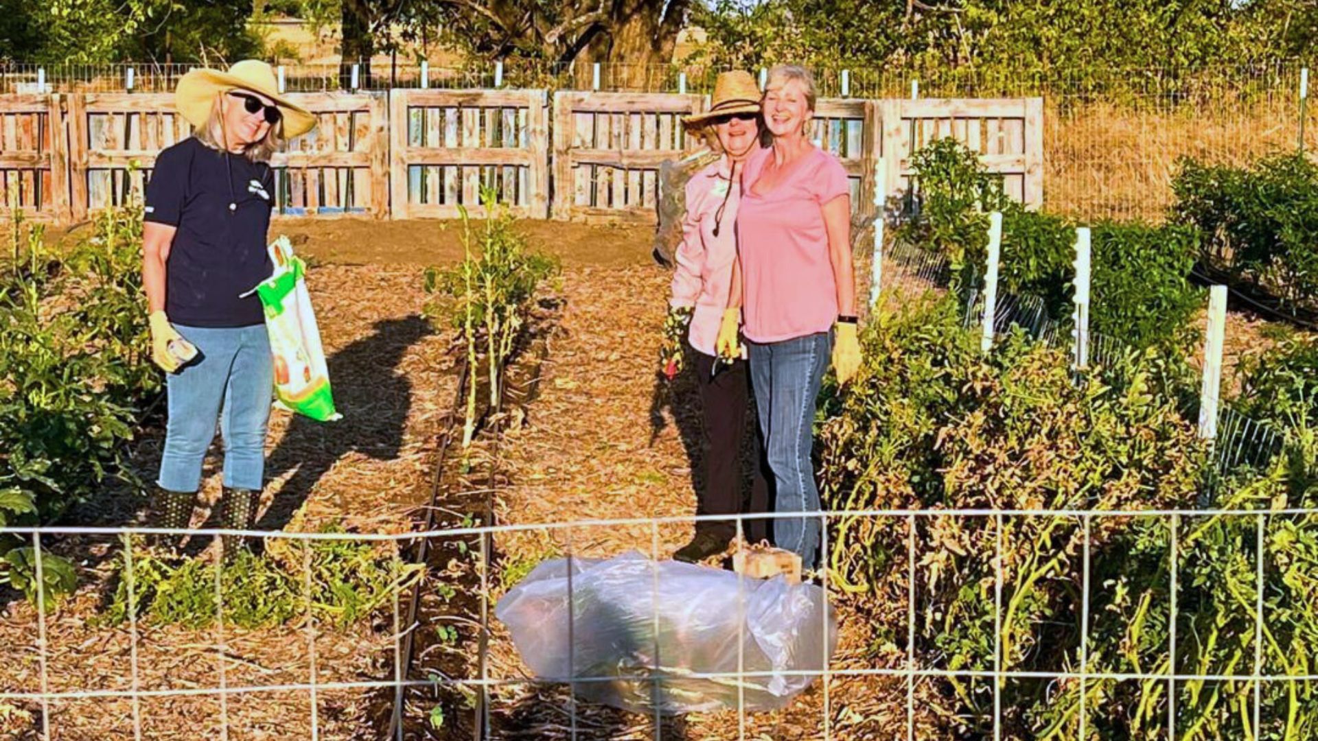 Photograph of volunteers at the Community Strong Farm.