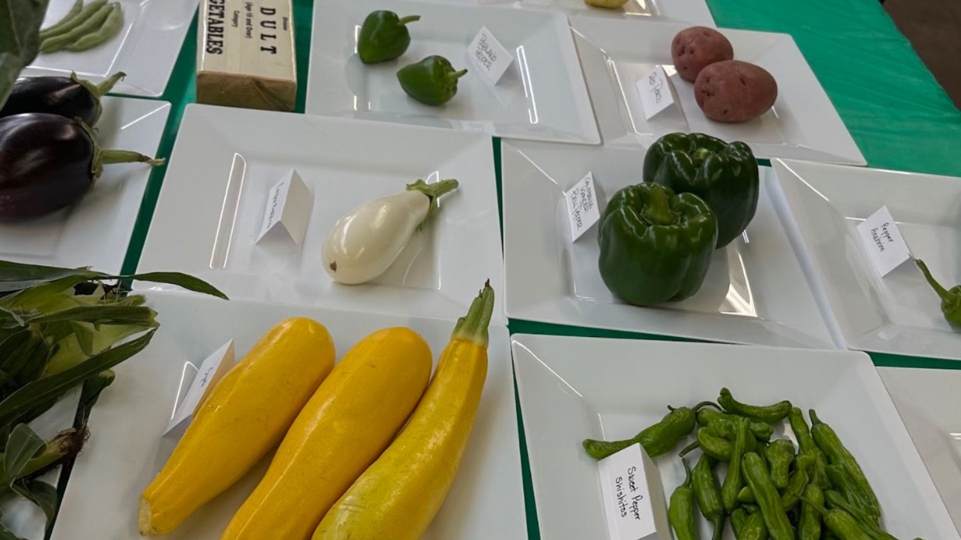 Photo of vegetable entries in the 2023 FVHF Show.