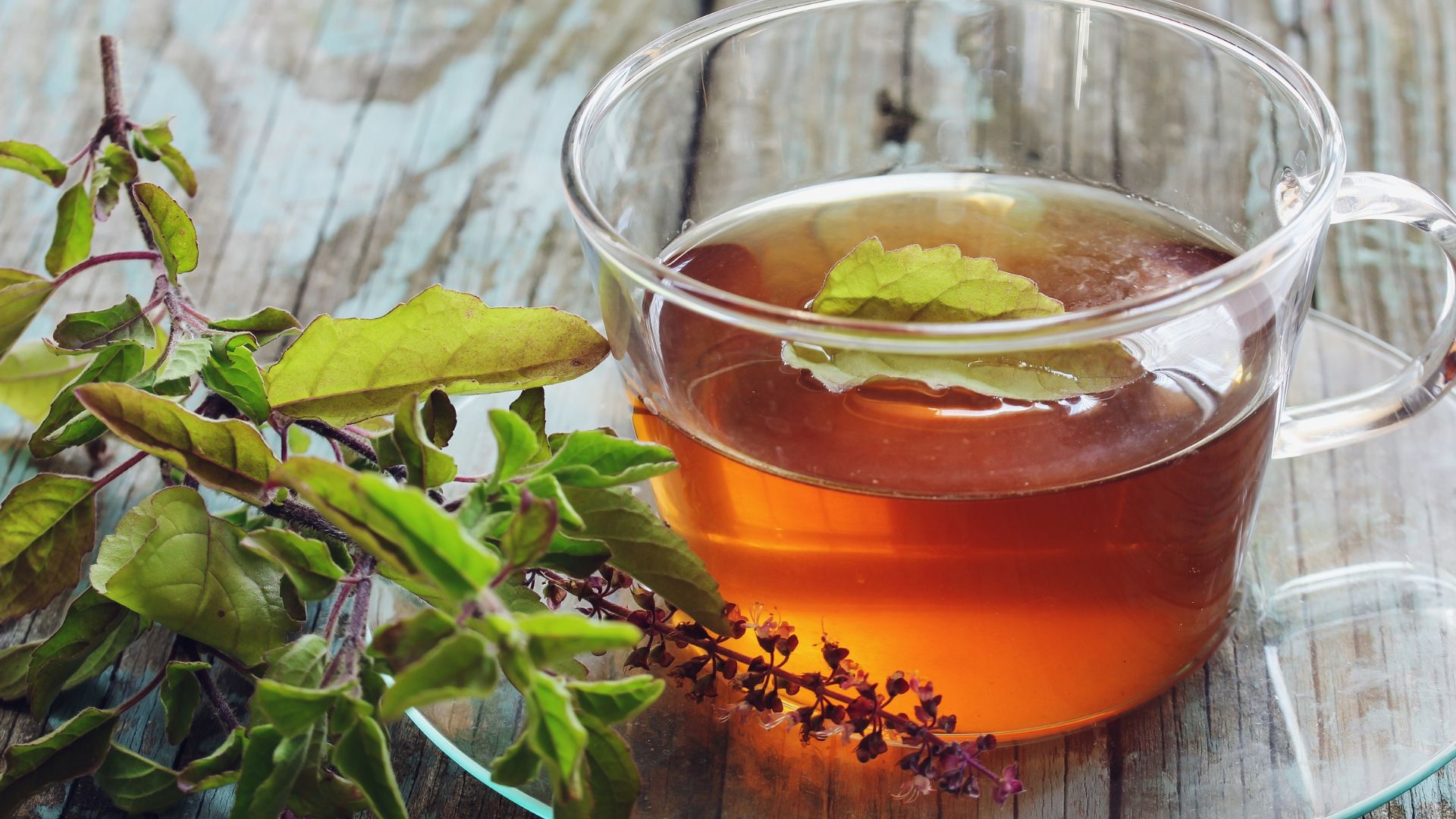 Photo of a cup of tea with a tea branch and leaves.