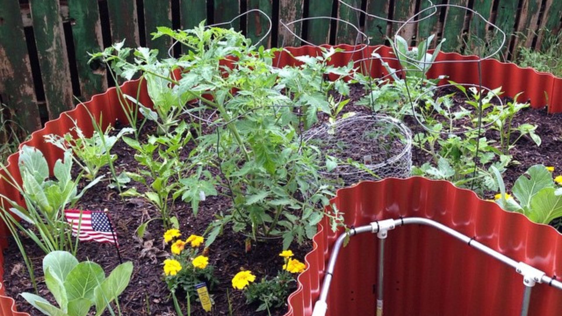 Photo of vegetables planted in a keyhole garden bed.