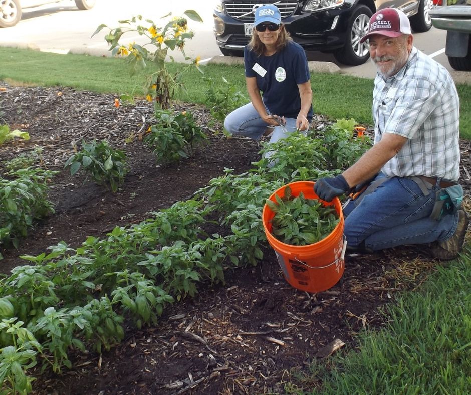 Photo of volunteers working at FMFB Community Garden 