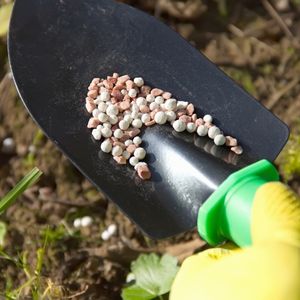 Photo of garden spade with fertilizer granules.