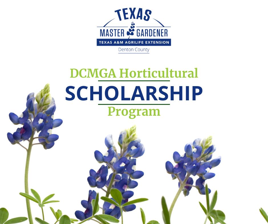 DCMGA Horticultural Scholarship Program graphic.