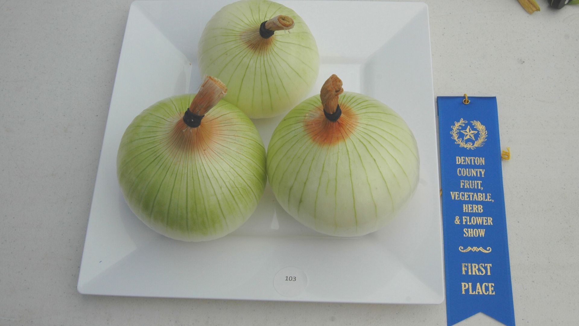 Photo of first prize onions.