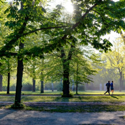 Photo of two people jogging in a park.
