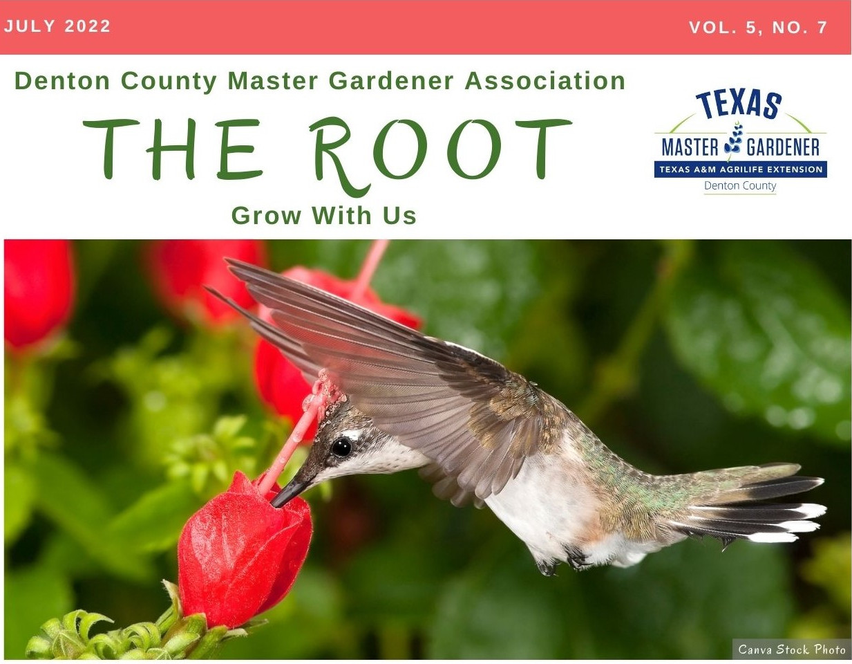 Cover of July 2022 issue of The Root, the free digital monthly gardening magazine published by the Denton County Master Gardener Association.