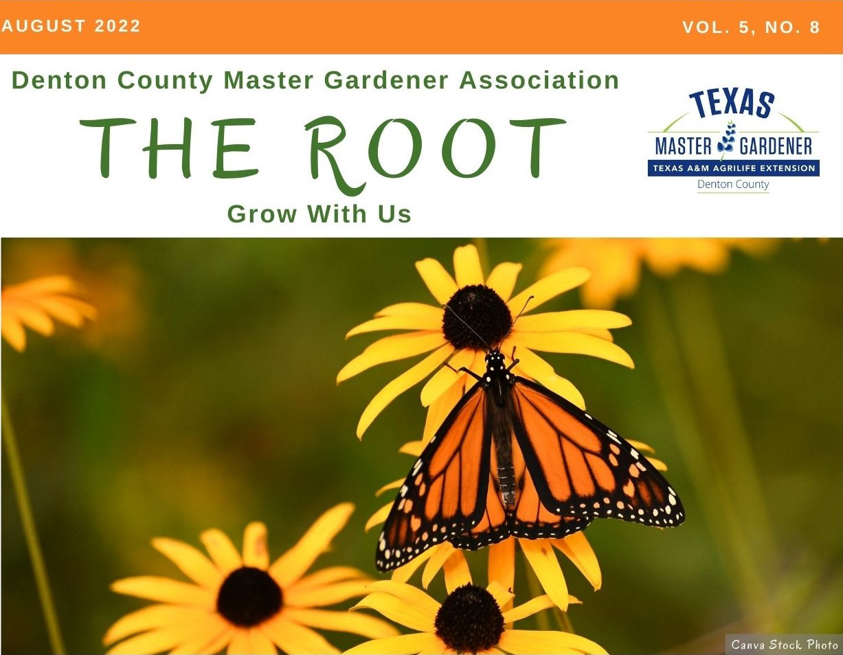 Cover of August 2022 issue of The Root, the free digital monthly gardening magazine published by the Denton County Master Gardener Association.