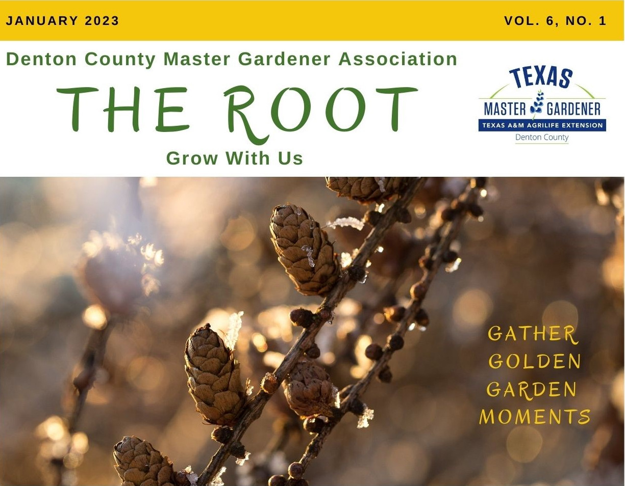 Cover of January 2023 issue of The Root, the free digital monthly gardening magazine published by the Denton County Master Gardener Association.