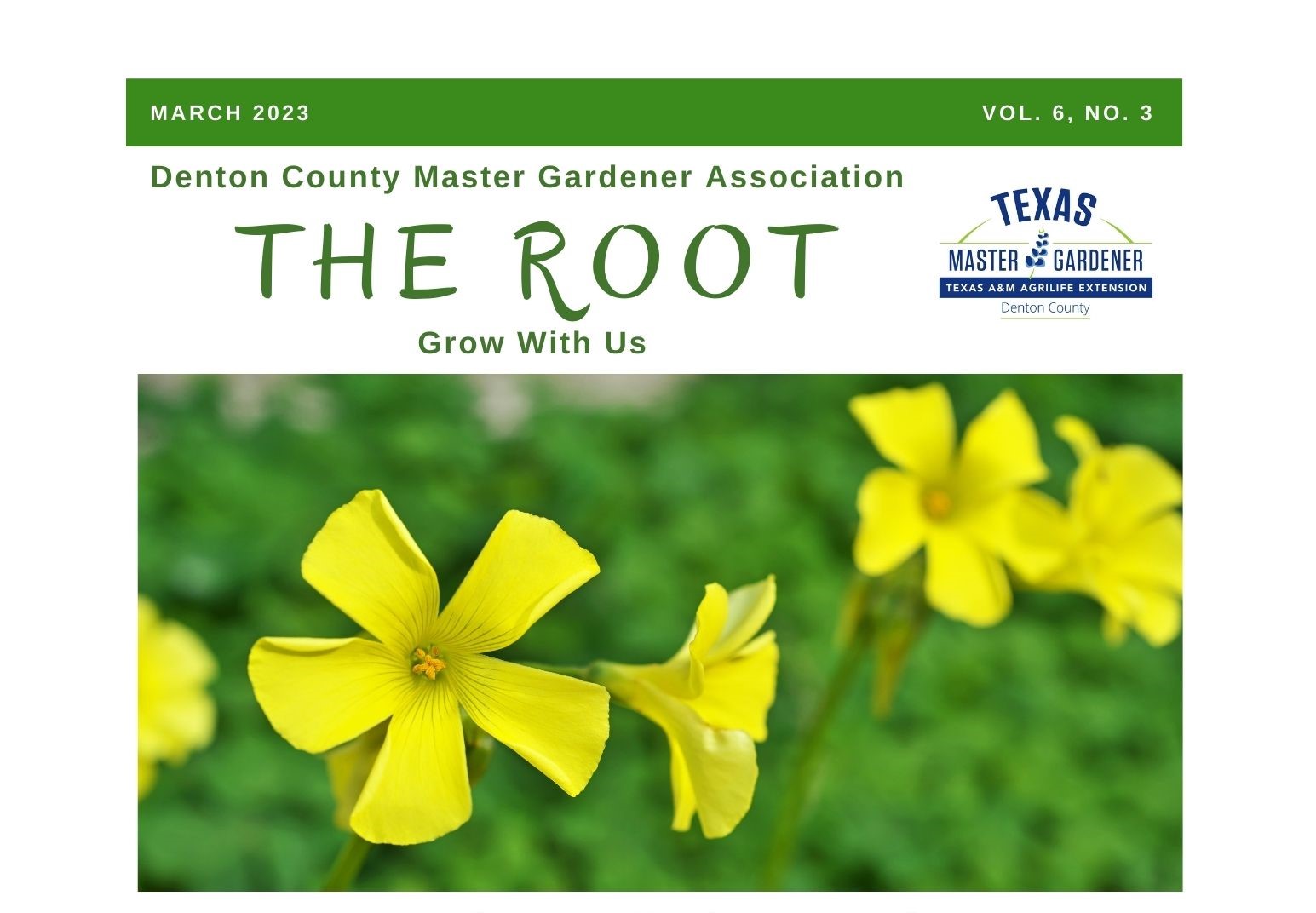 Cover of March 2023 issue of The Root, the free digital monthly gardening magazine published by the Denton County Master Gardener Association.