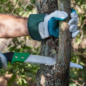 Photo of pruning a tree with a pruning saw.