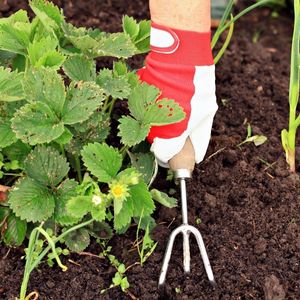 Photo of a gardener cultivating soil with a gardening fork.