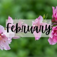 Monthly Tips February