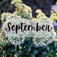 Monthly Tips September