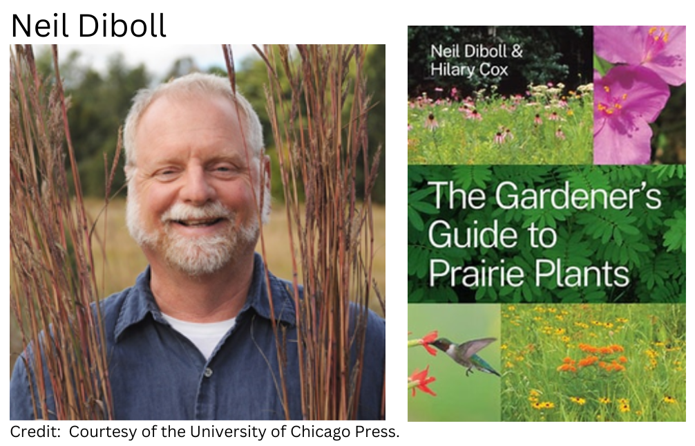 Garden Design Principles Using Native Prairie Plants