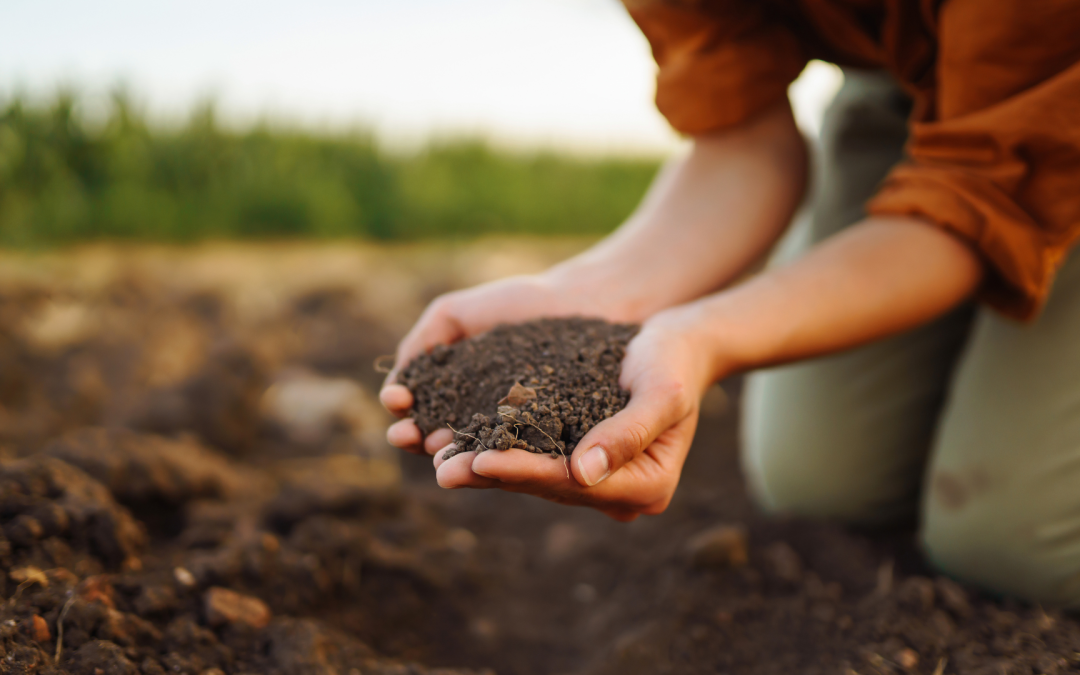 Soil 101 – Building Better Soil